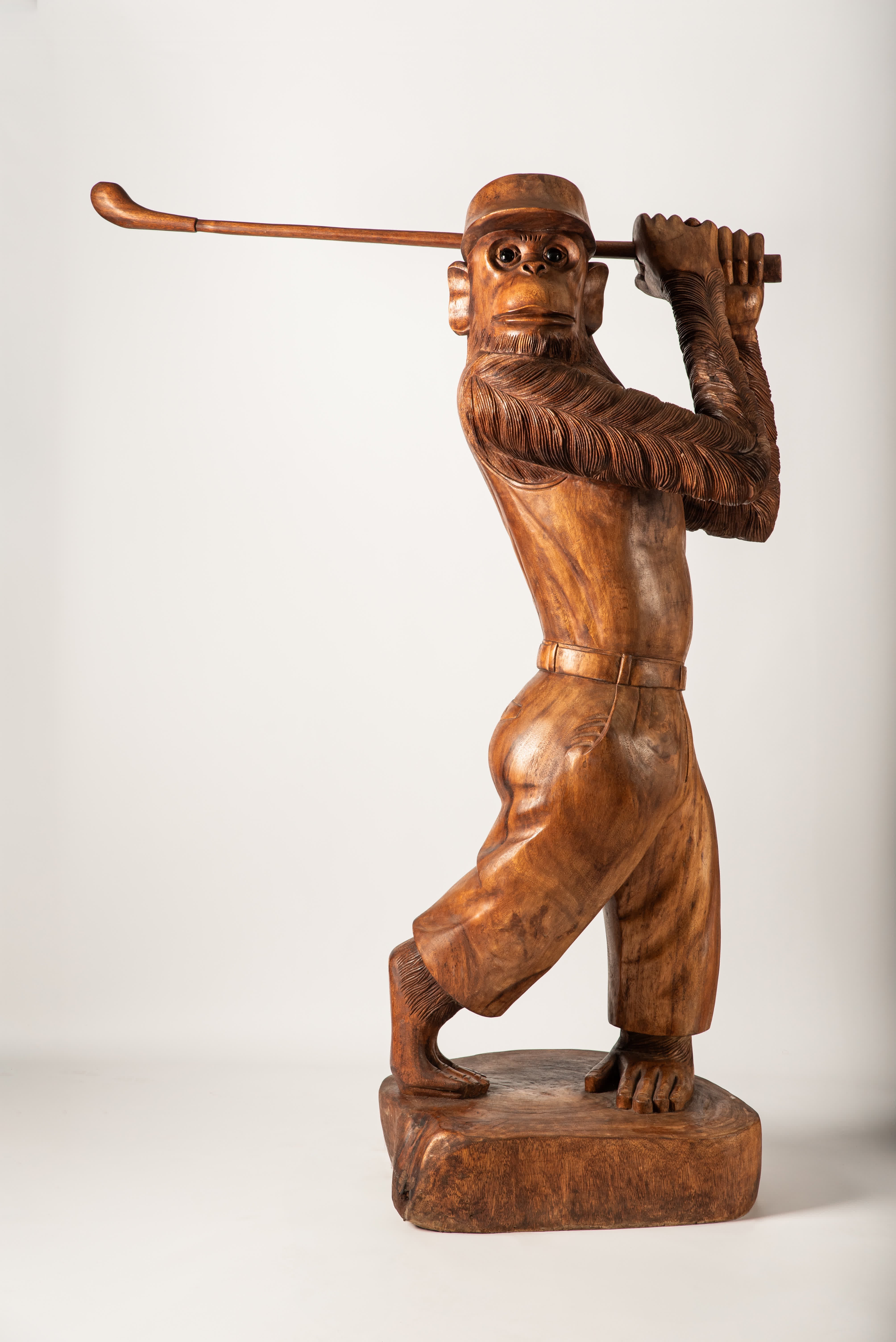 Golf Player - dettaglio ravvicinato